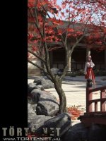 Hitomi 1. rész - Erotikus képregény