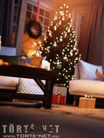 Karácsonyi őrültség 1. rész - Erotikus képregény - 21. oldal