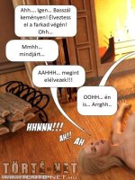 Mindenkinek jár ajándék - Erotikus képregény - 31. oldal