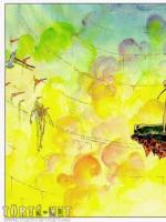 Kamasutra 2. rész - Erotikus képregény - 49. oldal