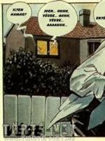 A szenvedélyes nő - Erotikus képregény - 12. oldal