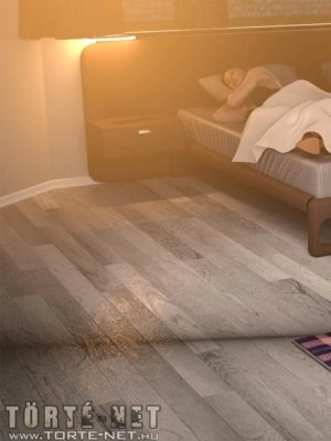 Egy üzletasszony kalandjai 1. rész - Erotikus képregény