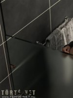 Egy üzletasszony kalandjai 1. rész - Erotikus képregény - 56. oldal