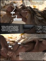 Családi buborék 1. rész - Erotikus képregény - 46. oldal