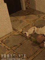 Öröklődés 1. rész - Erotikus képregény - 7. oldal