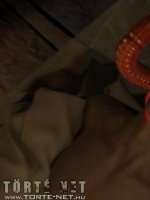 Öröklődés 1. rész - Erotikus képregény - 27. oldal