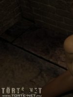 Öröklődés 1. rész - Erotikus képregény - 49. oldal