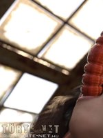 Öröklődés 3. rész - Erotikus képregény - 21. oldal