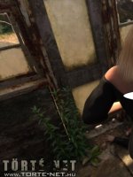 Öröklődés 3. rész - Erotikus képregény - 41. oldal