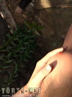 Öröklődés 3. rész - Erotikus képregény - 51. oldal