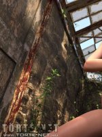 Öröklődés 3. rész - Erotikus képregény - 56. oldal