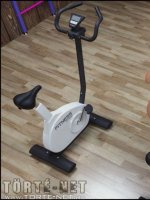 Gisela az edzőteremben - Erotikus képregény - 6. oldal