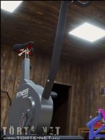 Gisela az edzőteremben - Erotikus képregény - 9. oldal