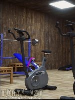 Gisela az edzőteremben - Erotikus képregény - 14. oldal