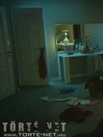 Egy üzletasszony kalandjai 3. rész - Erotikus képregény - 22. oldal