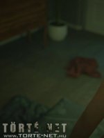 Egy üzletasszony kalandjai 3. rész - Erotikus képregény - 34. oldal