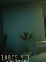 Egy üzletasszony kalandjai 3. rész - Erotikus képregény - 40. oldal