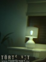 Egy üzletasszony kalandjai 3. rész - Erotikus képregény - 44. oldal