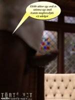 Mr. Whitehead  kalandjai - Hárem 3. rész - Erotikus képregény - 18. oldal