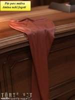 Mr. Whitehead  kalandjai - Hárem 3. rész - Erotikus képregény - 22. oldal