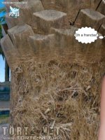 Nudista üdülőhely 1. rész - Erotikus képregény - 41. oldal