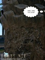 Nudista üdülőhely 1. rész - Erotikus képregény - 44. oldal