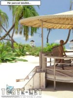 Nudista üdülőhely 2. rész - Erotikus képregény - 16. oldal