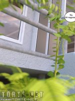 Bakancslista 2. rész - Erotikus képregény - 19. oldal Bakancslista 2. rész - Erotikus képregény - 19. oldal