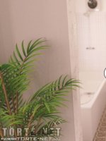 Bakancslista 2. rész - Erotikus képregény - 38. oldal Bakancslista 2. rész - Erotikus képregény - 38. oldal