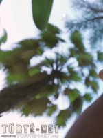 Bakancslista 3. rész - Erotikus képregény - 50. oldal