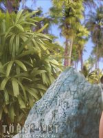 Bakancslista 3. rész - Erotikus képregény - 51. oldal