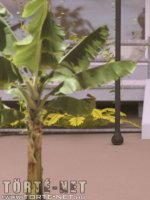 Bakancslista 4. rész - Erotikus képregény - 101. oldal