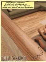 Alpha 4. rész - Erotikus képregény - 58. oldal