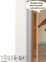 Mr. Whitehead  kalandjai - Hárem 4. rész - Erotikus képregény - 43. oldal