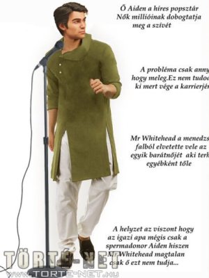 Mr. Whitehead  kalandjai - Hárem 5. rész - Erotikus képregény