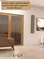 Mr. Whitehead  kalandjai - Hárem 5. rész - Erotikus képregény - 60. oldal