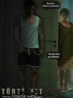 A főbérlő - Erotikus képregény