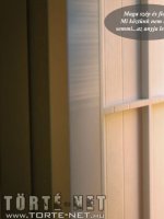 A főbérlő - Erotikus képregény - 9. oldal