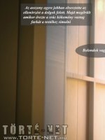 A főbérlő - Erotikus képregény - 10. oldal