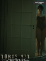 A főbérlő - Erotikus képregény - 24. oldal