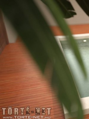 Caroline és barátnői a medencénél - Erotikus képregény