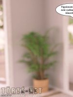 Bakancslista 8. rész - Erotikus képregény - 13. oldal