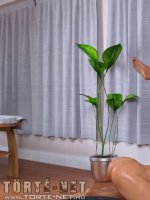 Masszázs után - Erotikus képregény - 36. oldal