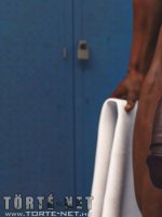 Rendőrök és nyomozók egymás között 3. rész - Erotikus képregény - 9. oldal