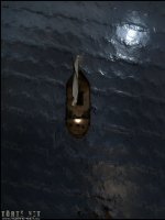 Rokonok 1. rész - A csendes ég felé - Erotikus képregény - 23. oldal