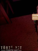 Dupla csavar 1. rész - Erotikus képregény - 36. oldal