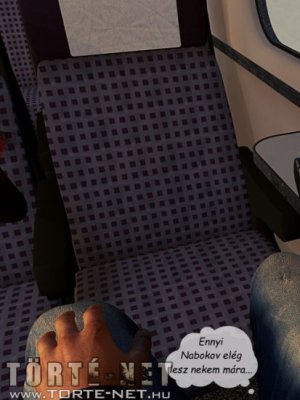 Egy lány a vonaton - Erotikus képregény - 2. oldal