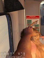 Egy lány a vonaton - Erotikus képregény - 172. oldal