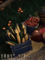 A farmerlány álma - Erotikus képregény - 33. oldal