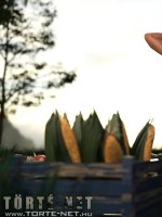 A farmerlány álma - Erotikus képregény - 35. oldal